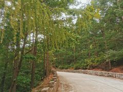 -白草畔自然风景区