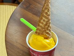 -Mint Gelato(二厂店)