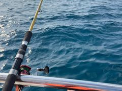 -小猫钓鱼海钓俱乐部(椰梦长廊店)