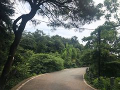 -缙云山景区