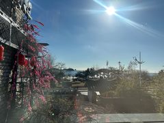 -慢丽江·云南野生菌土鸡锅(付家庄店)