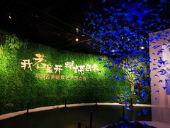 -中国湿地博物馆