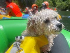 -安吉龙王山峡谷漂流