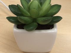 -万藏·荞麦酒房BANKURA JAPANESE SOBA KITCHEN(长乐路店)