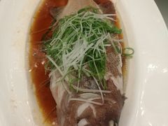 清蒸东星斑-杭州国际会议中心洲际酒店-菋道海鲜餐厅