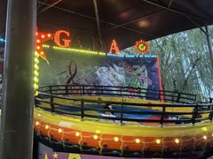 -朝阳公园游乐园