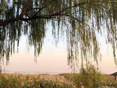 -太湖湖滨国家湿地公园-停车场