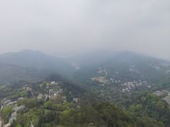-大金鹰园