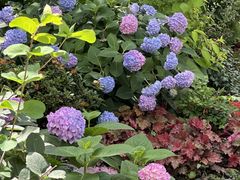 -常州古运河南大街文化旅游区-人民公园