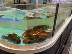 -同庆楼(滨湖万达广场店)