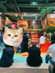 -kidsland(上海环球港店)