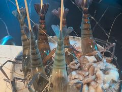 -琥珀川糟粕醋·香草鸭·鸡煲(慈云寺店)