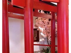 -游You House(西单老佛爷店)