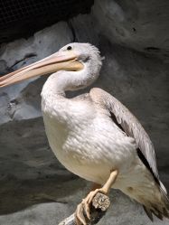 -Zoolung Zoolung动物主题公园(海信广场店)