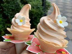 -德克士(砂之船奥特莱斯店)