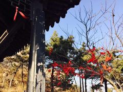 iphone_upload_pic-青岛海滨风景区