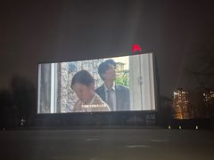 -枫花园汽车电影院(朝阳公园店)