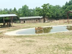 -西安秦岭野生动物园
