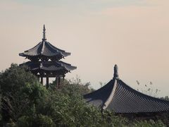 -杭州半山国家森林公园