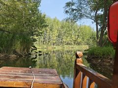 -滕州微山湖红荷湿地景区