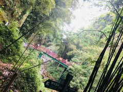 -川西竹海景区