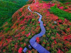 -大围山国家森林公园