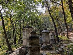 -北京上方山国家森林公园