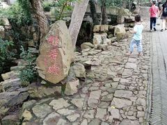 -雨花胜境