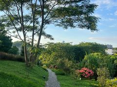 -东莞植物园