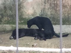 -宁波野生动物园