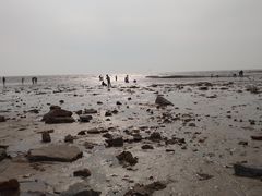 -辽宁团山国家级海洋公园