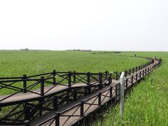 -东平国家森林公园
