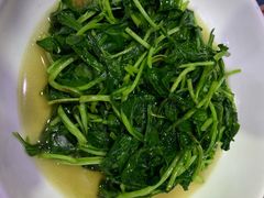 -全乐鱼馆·淳牌有机鱼直营店