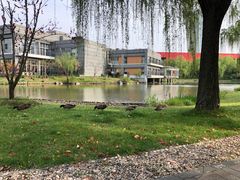 -中国浦东干部学院