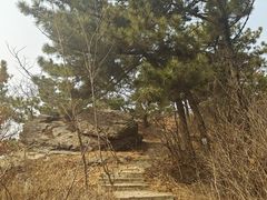 -西尖山公园