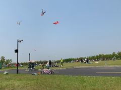 -春花秋色城市公园