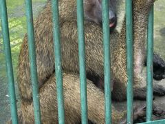 -秦皇岛野生动物园