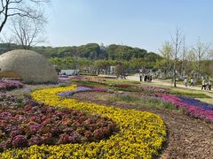 -苏州上方山国家森林公园