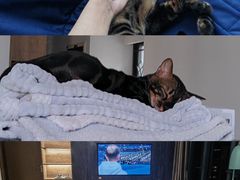 -西涌国际滨海旅游区