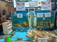 水产区-九层海鲜塔(市南店)