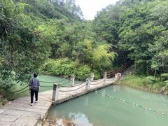 -广州白江湖森林公园