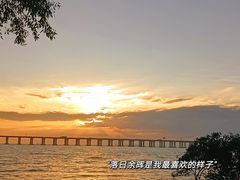-宝安西湾红树林湿地公园