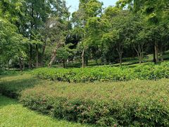 -炮台山公园