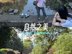 -桃花岭景区