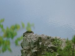 -天台山琼台仙谷景区