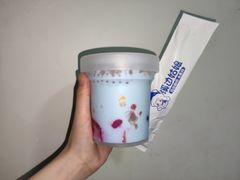 -溪边姑娘·拉丝酸奶水果捞(春熙路店)