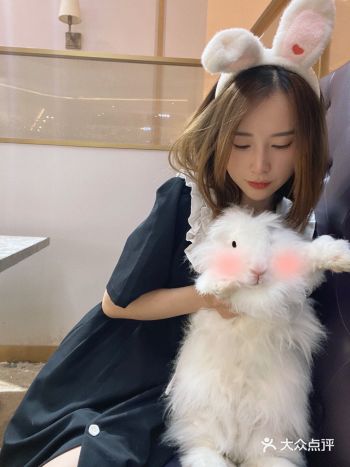 重庆探店｜毛绒玩具安哥拉巨兔萌化少女心