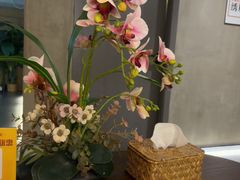 -施奈儿.洗头頭療.按摩SPA.采耳(上梅林店)