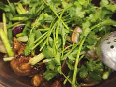 -胡须佬鸡煲四季火锅(龙珠大道店)