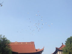 -高旻寺